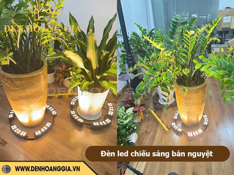 Đèn led chiếu cây bán nguyệt