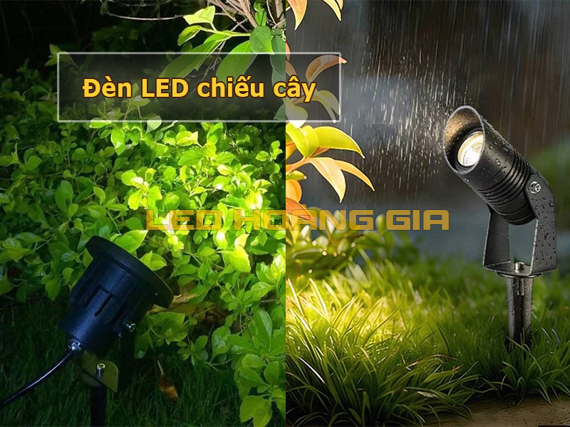 Đèn LED chiếu cây