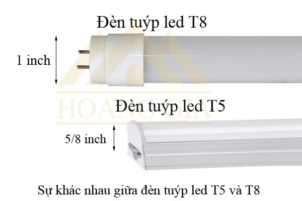 Sự khác nhau giữa đèn tuýp led T5 và T8