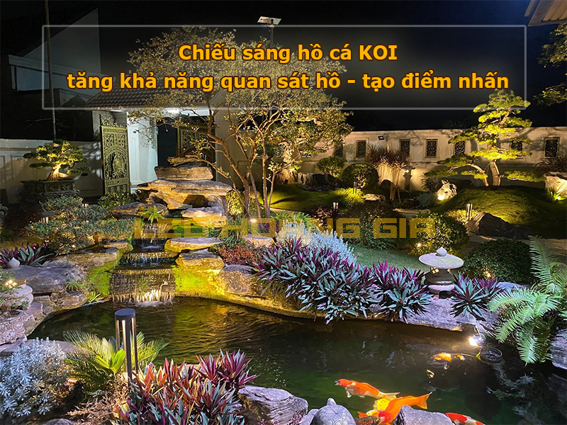 Nên chiếu sáng cho hồ cá Koi