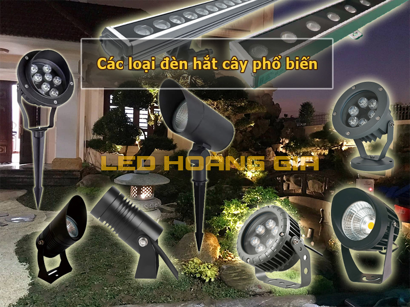 Các loại đèn hắt cây