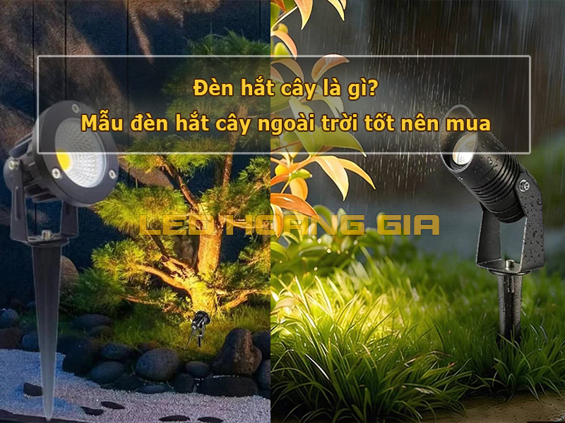 Đèn hắt cây là gì?