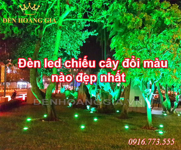 đèn led chiếu cây đổi màu