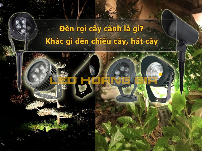 Đèn rọi cây cảnh là gì?