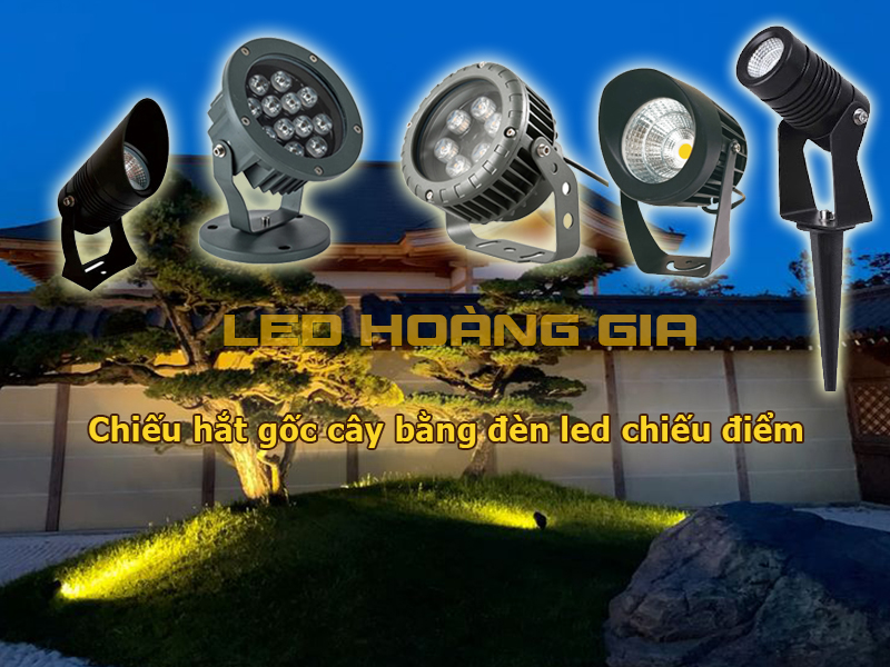 Lắp đèn led chiếu điểm chiếu từ dưới gốc cây lên