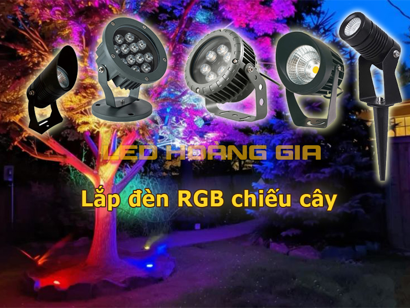 Lắp đèn RGB chiếu cây