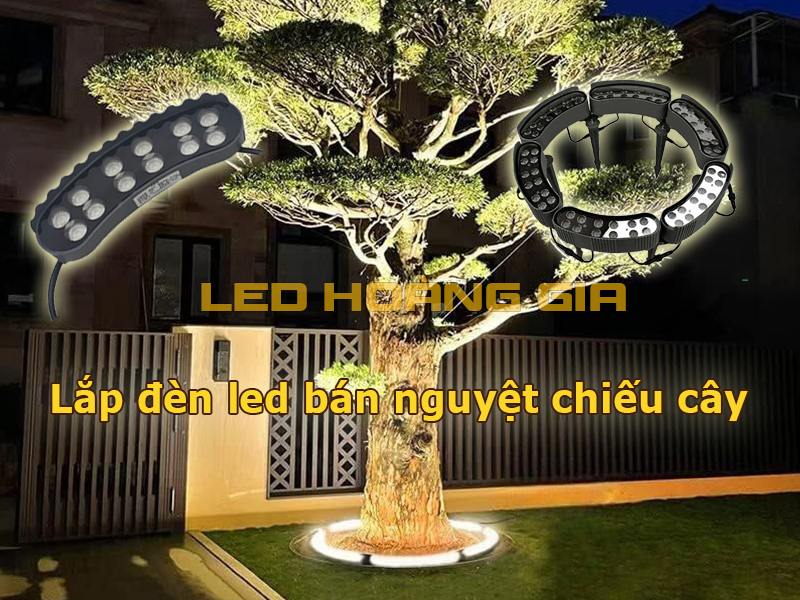 Lắp đèn led bán nguyệt chiếu cây