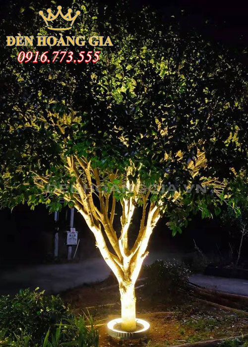 Sử dụng đèn led chiếu cây bán nguyệt để chiếu sáng gốc cây