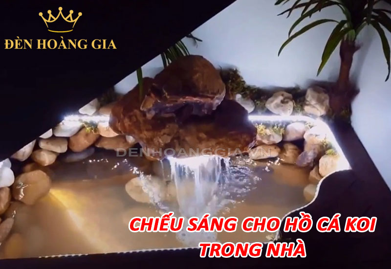 Chiếu sáng cho hồ cá Koi trong nhà