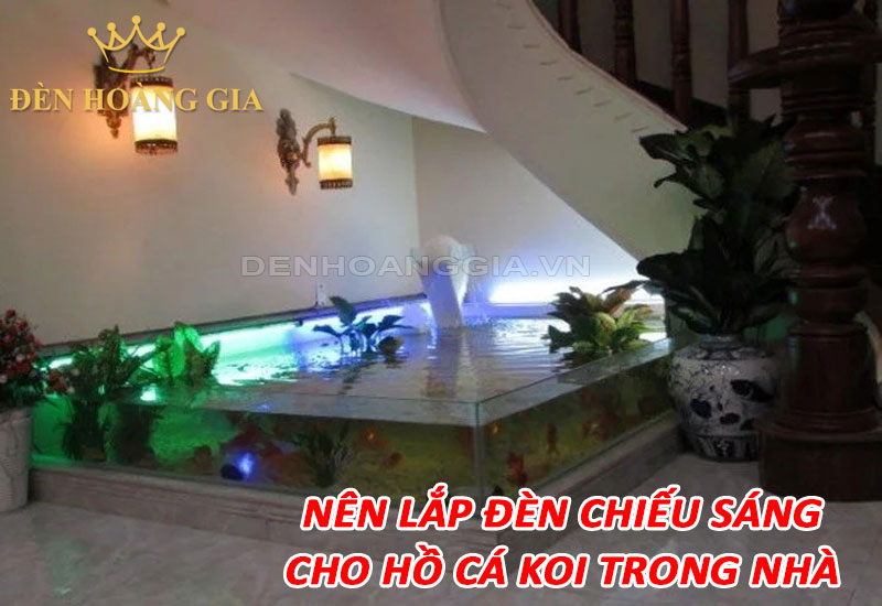 Nên lắp đèn chiếu sáng cho hồ cá Koi trong nhà