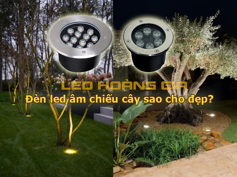 Đèn led âm đất chiếu cây sao cho đẹp?