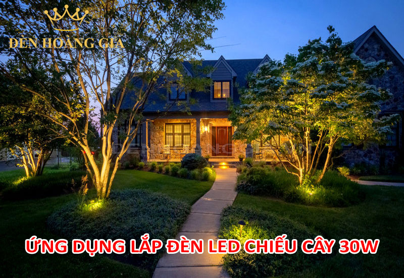 Ứng dụng lắp đèn led chiếu cây 30w