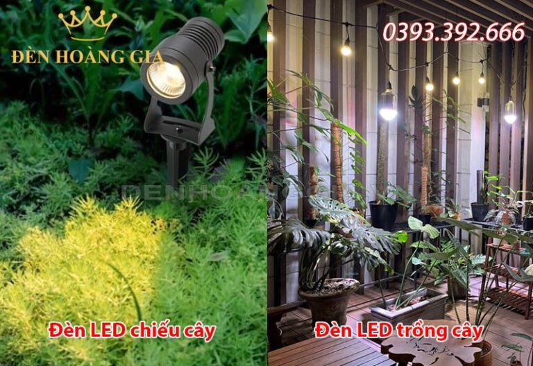 Phân biệt đèn led chiếu cây và đèn led trồng cây | Đèn Hoàng Gia