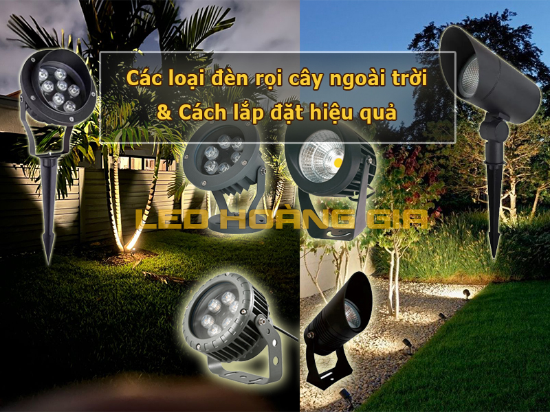 Đèn rọi cây cảnh ngoài trời