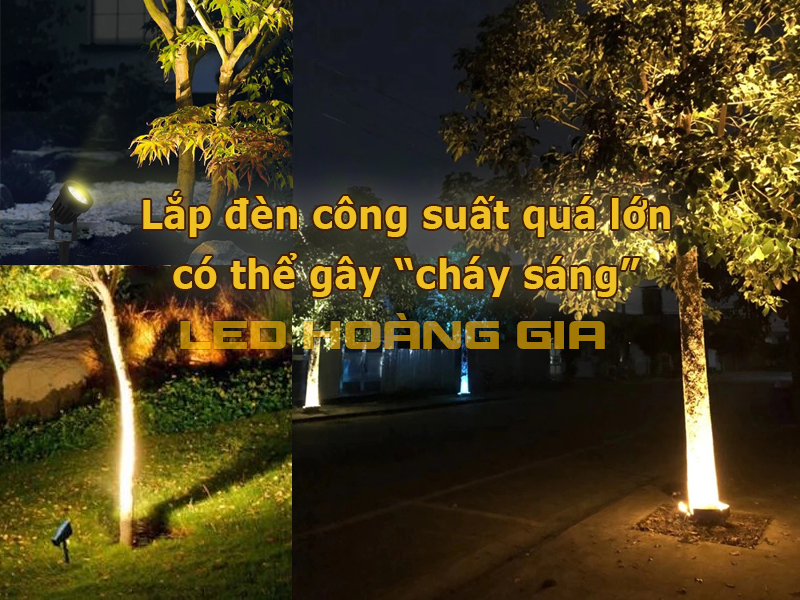 Lắp đèn công suất quá lớn gây cháy sáng