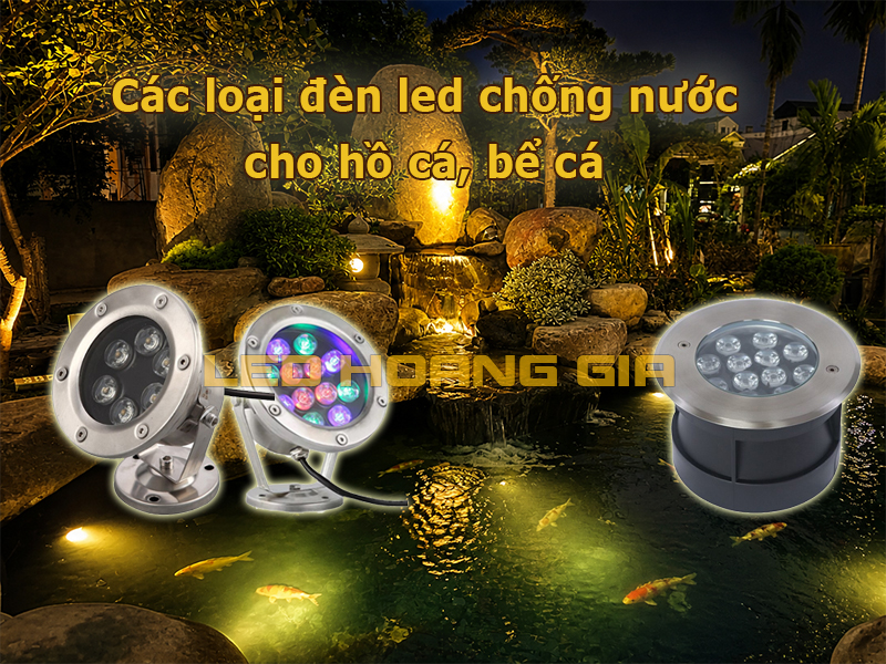 Phân biệt & lựa chọn các loại đèn led chống nước cho hồ cá, bể cá