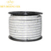 Đèn led dây Rạng Đông LD01.RGB.IR 100/8W