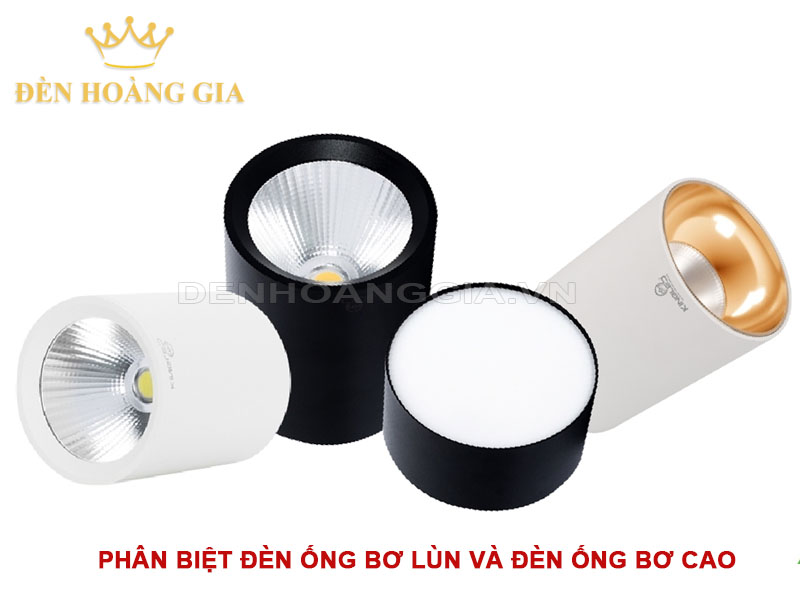 Phân biệt đèn ống bơ lùn và đèn ống bơ cao