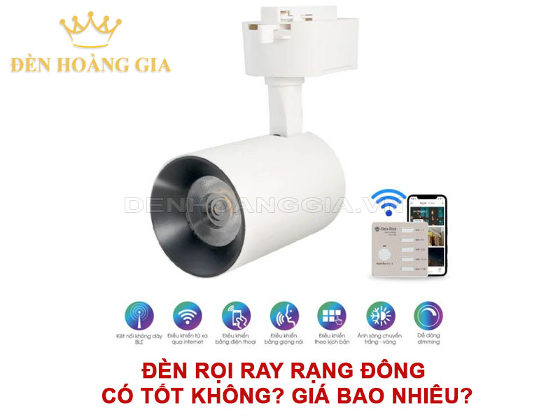 Đèn rọi ray Rạng Đông