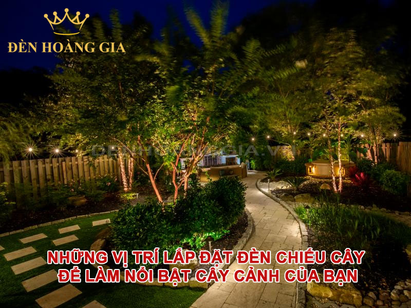 Những vị trí lắp đặt đèn chiếu cây để làm nổi bật cây cảnh của bạn