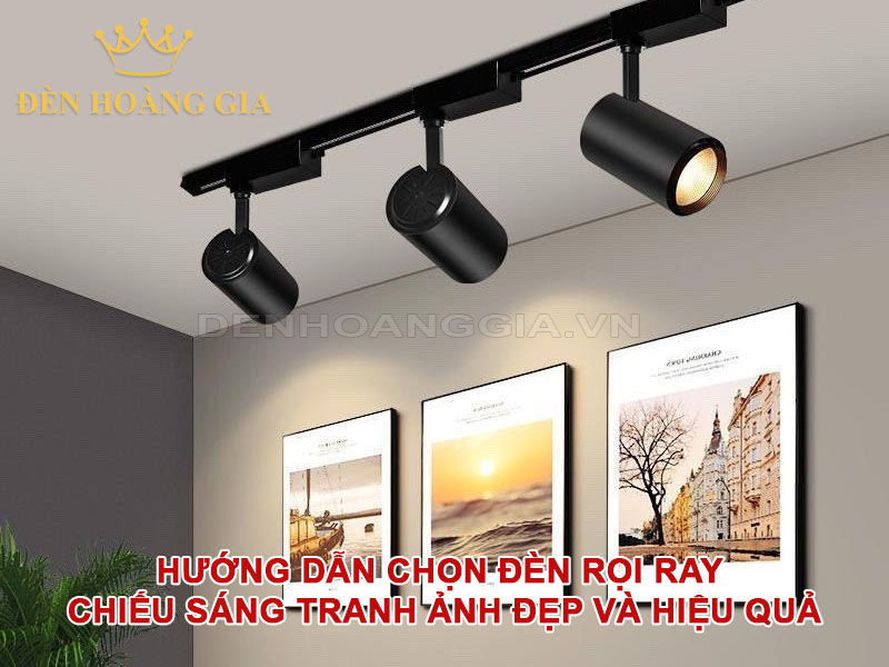 Hướng dẫn chọn đèn rọi ray chiếu sáng tranh ảnh đẹp