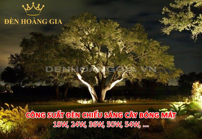 chieu-sang-cay-bong-mat-lap-den-cong-suat-bao-nhieu