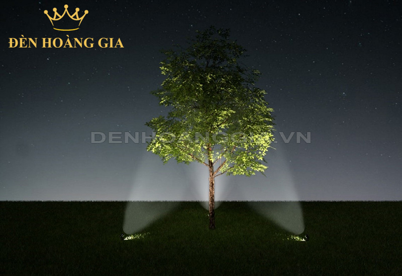 chieu-sang-uplighting-cho-cay-cao