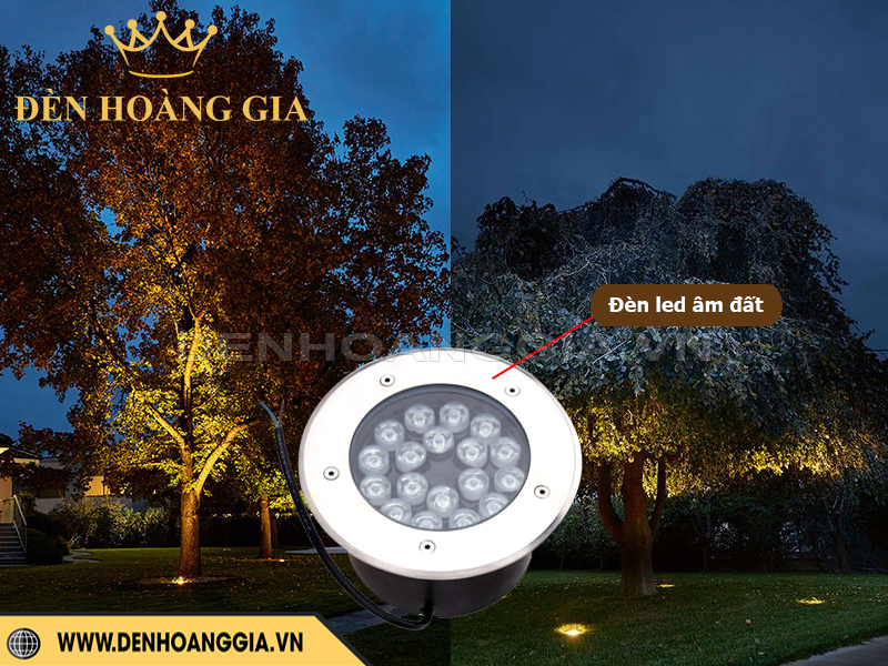 Đèn led âm đất chiếu sáng tán cây lớn