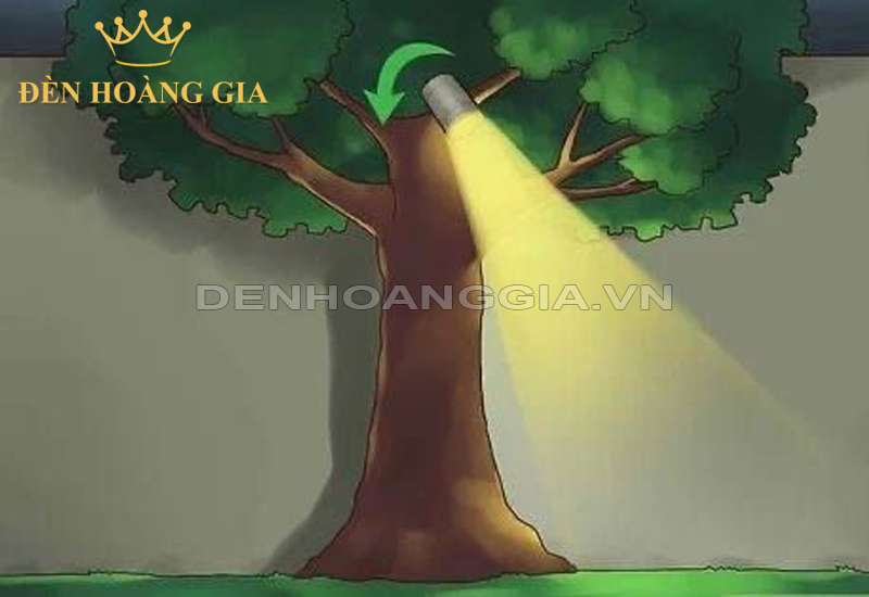 den-chieu-hat-xuong-nen-dat