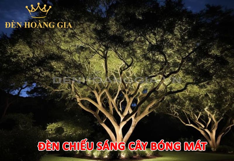 den-chieu-sang-cay-bong-mat