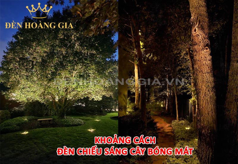 khoang-cach-den-chieu-sang-cay-bong-mat