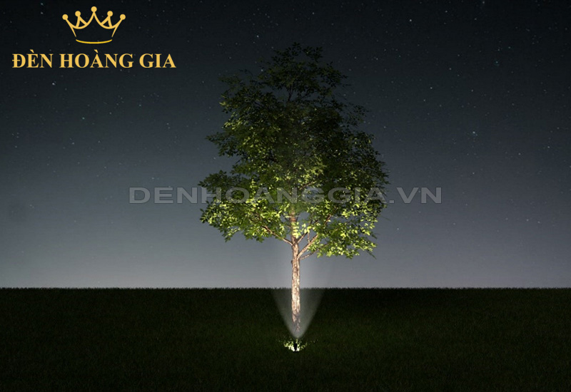 meo-chieu-hat-duoi-goc-cay-cao-tan-rong