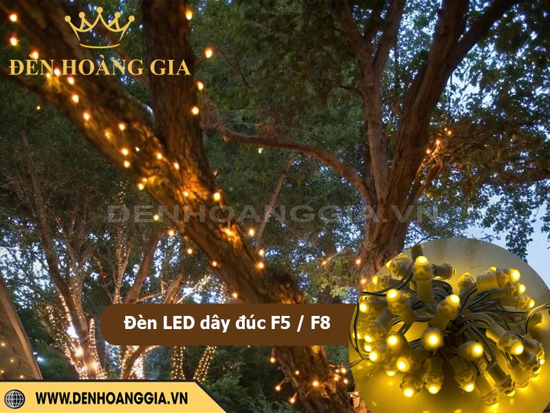 den-led-day-duc-f5-f8-khong-so-mua