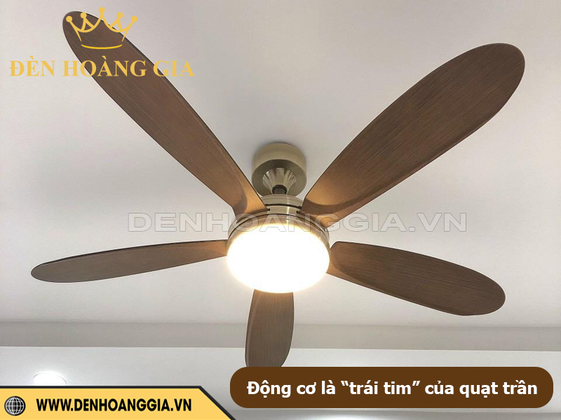 Động cơ là trái tim của quạt trần