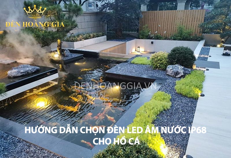 huong-dan-chon-den-led-am-nuoc-ip68-cho-ho-ca