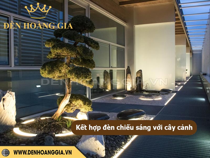 Kết hợp đèn chiếu sáng với cây cảnh trong sân vườn sao cho đẹp?