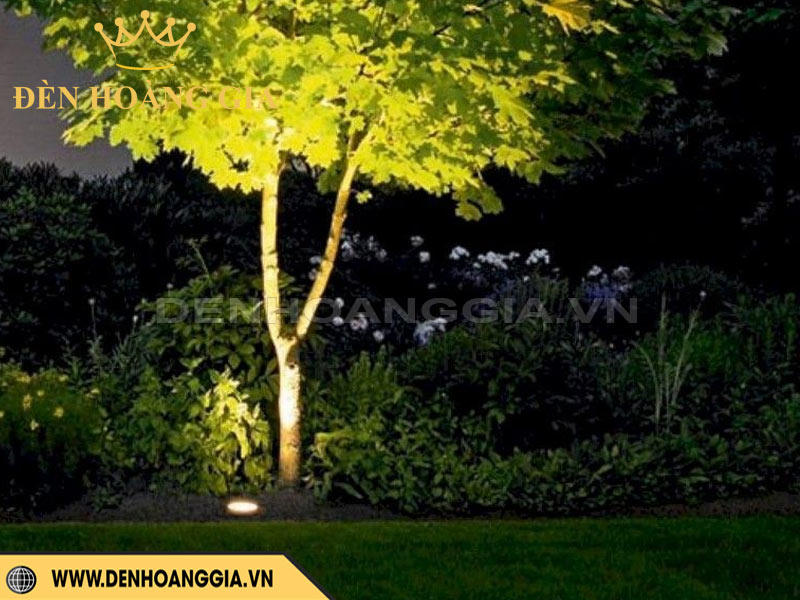 Kết hợp đèn led âm đất chiếu sáng cây cảnh sân vườn