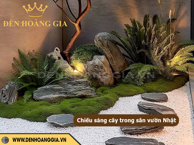 Trang trí cây bonsai và cây cảnh bằng đèn LED chiếu điểm