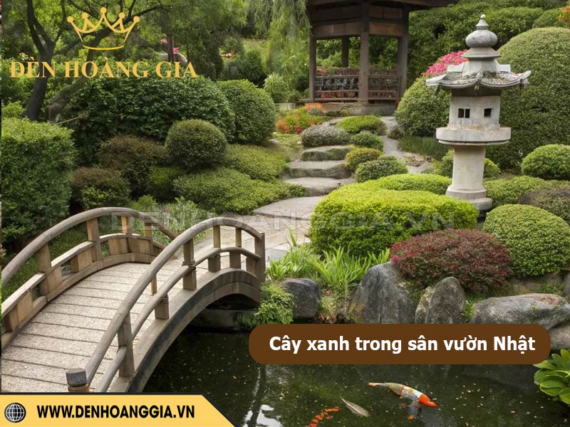 Cây xanh trong sân vườn Nhật