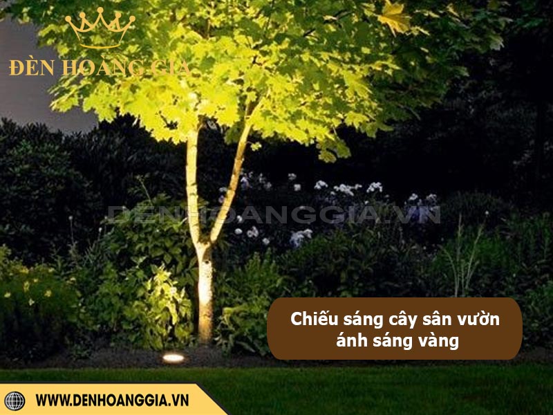 Chiếu sáng cây cảnh sân vườn ánh sáng vàng