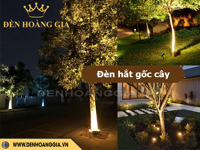 Đèn hắt gốc cây