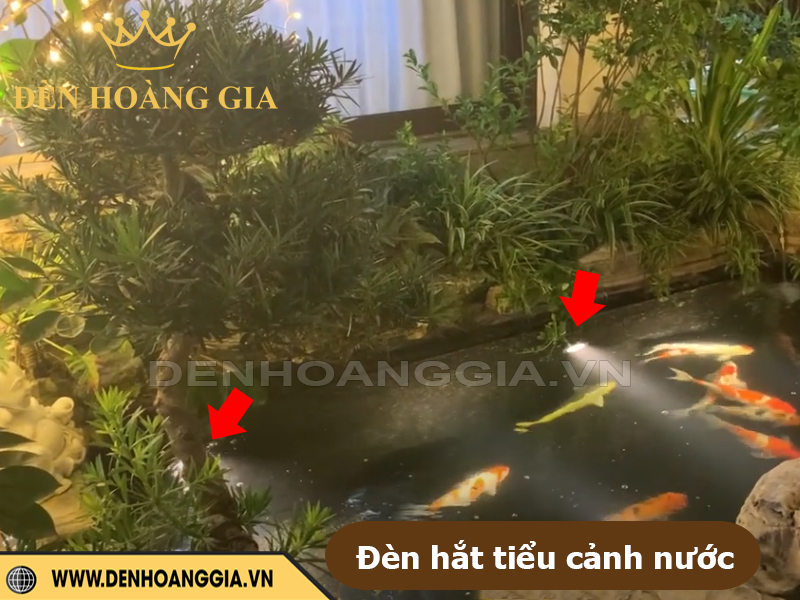 Đèn hắt tiểu cảnh nước