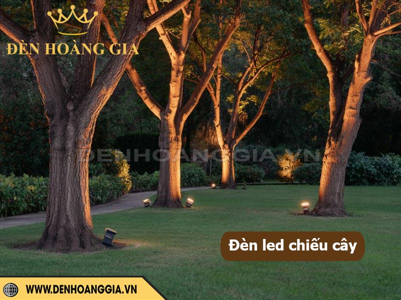 Đèn LED chiếu cây sân vườn