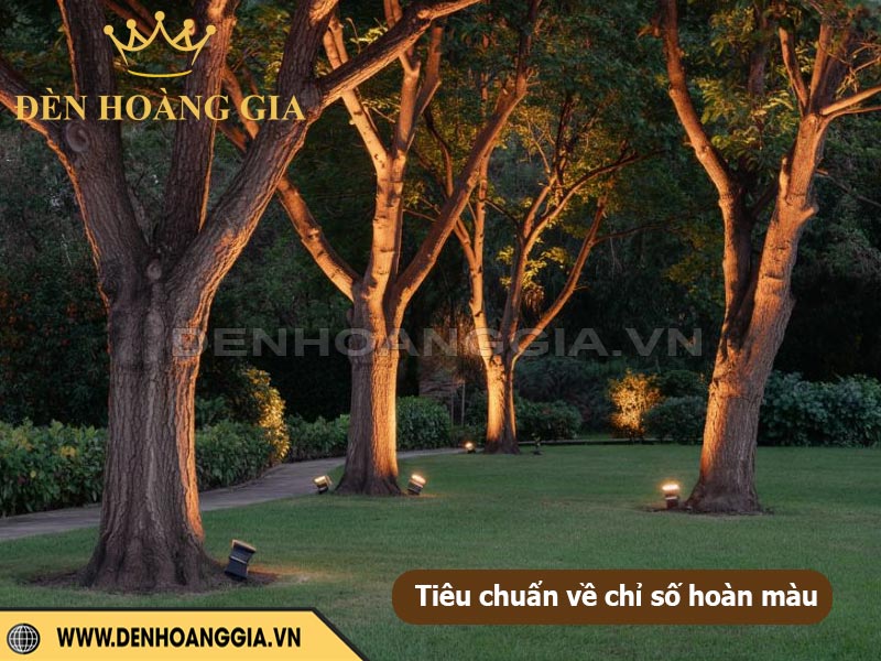 Tiêu chuẩn CRI trong thiết kế chiếu sáng sân vườn