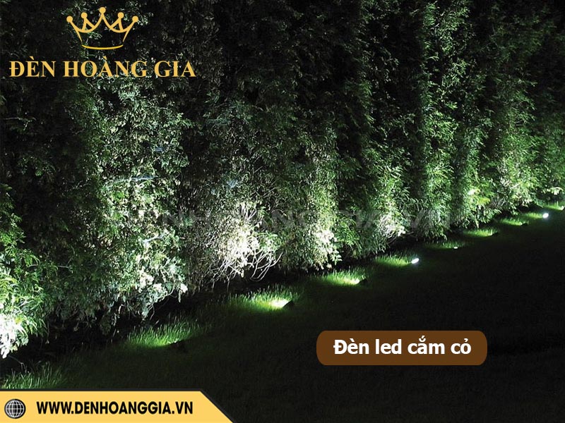 Ứng dụng đèn led âm đất chiếu sáng bãi cỏ