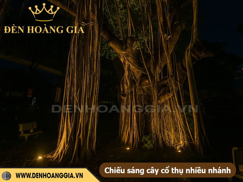 Đèn led spoltlight chiếu cây từ dưới lên