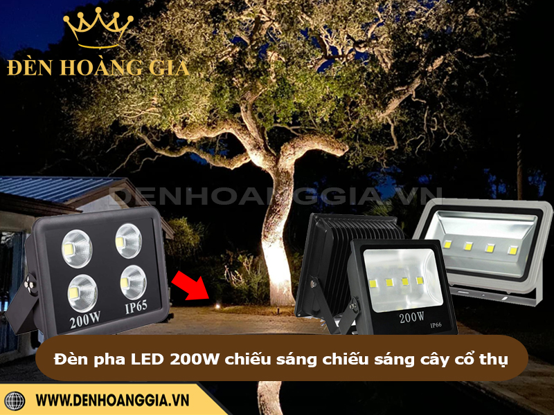 Đèn pha LED 200W chiếu sáng cây cổ thụ