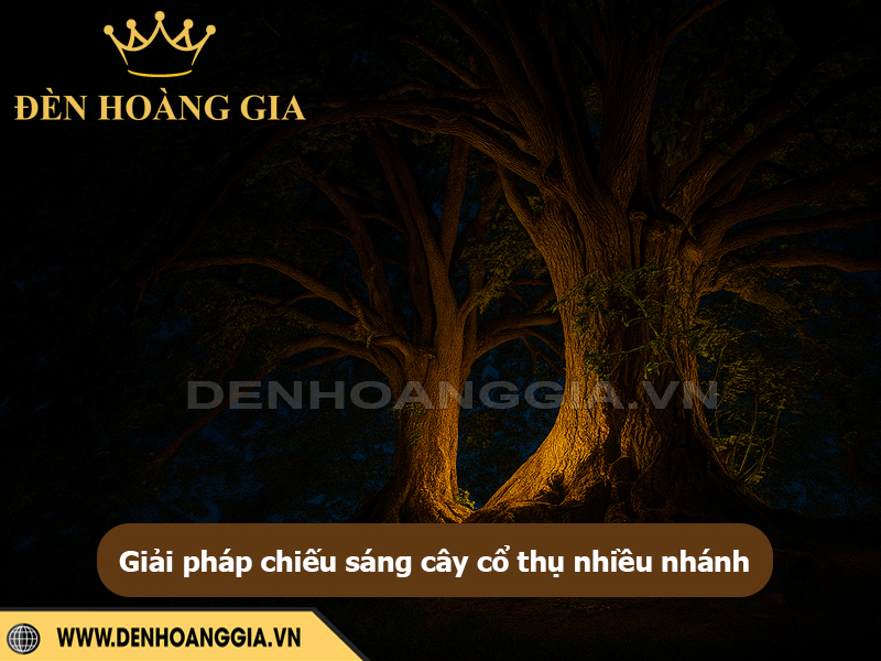 Giải pháp chiếu sáng cây cổ thụ nhiều nhanh