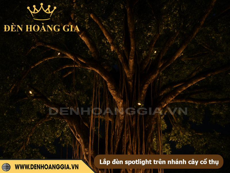 Lắp đèn spotlight trên nhanh cây cổ thụ