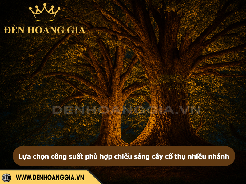 Lựa chọn đèn có công suất phù hợp để lắp chiếu sáng cây cổ thu nhiều nhánh